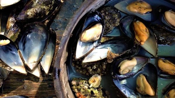 Αν. Χαλκιδική: Παραγωγοί και ξενοδόχοι "σηκώνουν τα μανίκια" και συνεργάζονται, με επίκεντρο τη γαστρονομία