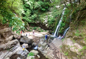 Ταξίδι στη γη του Αριστοτέλη…