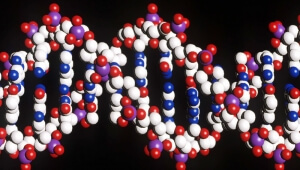 Τα γονίδια παίζουν ρόλο (και) στην ενσυναίσθηση για τους άλλους