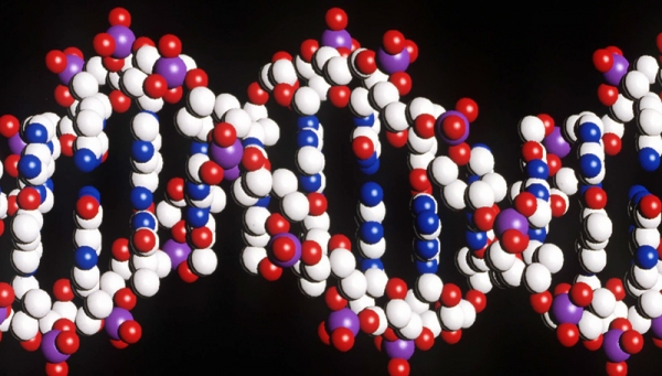 Τα γονίδια παίζουν ρόλο (και) στην ενσυναίσθηση για τους άλλους