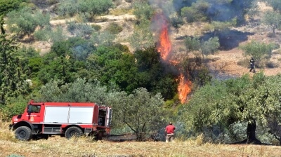 Δέκα κεραυνοί "βομβάρδισαν" την Κασσανδρεία και τη Φούρκα στη Χαλκιδική
