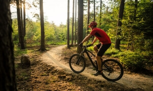 Oγδοντάρηδες με ανοσοποιητικό σύστημα εικοσάρη χάρη στο ποδήλατο