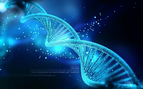 Το DNA γίνεται σκληρός δίσκος