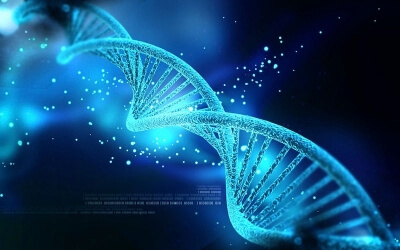 Το DNA γίνεται σκληρός δίσκος
