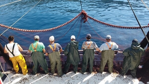 Όνειρα ζωής σε μισή γυάρδα