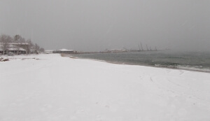 Δήμος Ν. Προποντίδας: Ενημέρωση για τη δυνατότητα λειτουργίας των σχολικών μονάδων