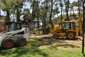 Καθαρισμός αλσών απο σπασμένα κλαδιά και δέντρα