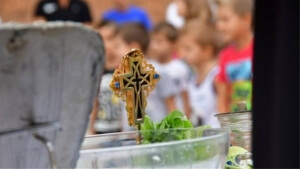 Το «πρώτο κουδούνι» της χρονιάς θα χτυπήσει αύριο σε όλα τα σχολεία της χώρας