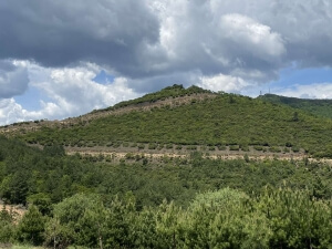 Δημιουργία Αντιπυρικών Ζωνών στον Δήμο Πολυγύρου