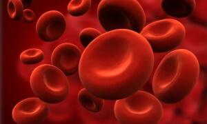 Παγκόσμια ημέρα Δρεπανοκυτταρικής Νόσου - Όσα πρέπει να γνωρίζουμε