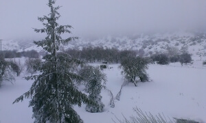 Σιθωνία: Κλειστά και αύριο Τρίτη 10/1 όλα τα σχολεία