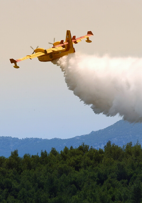 Πυρκαγιά σε δασική έκταση στην Ουρανούπολη (3)