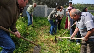 Τρόφιμα αντί Γκαζόν ή αλλιώς καλλιέργειες στις πόλεις