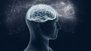 Εγκέφαλος: Ο γεννήτορας του έρωτα αλλά και ο μέγας ...αδικημένος της ημέρας του Αγίου Βαλεντίνου