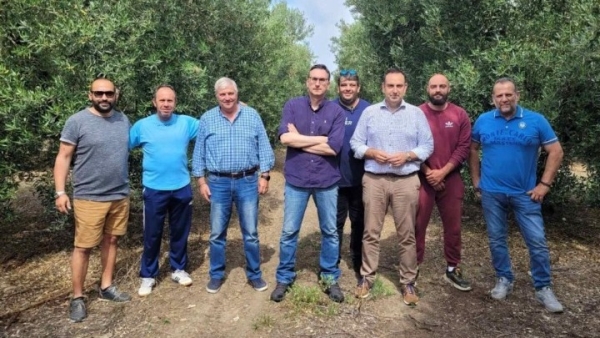 Η φετινή, η χειρότερη χρονιά όλων των εποχών για τους ελαιοπαραγωγούς