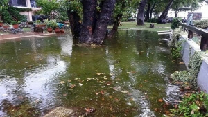 Σήμερα οι πρώτες καταγραφές ζημιών από κλιμάκια μηχανικών στη Σιθωνία