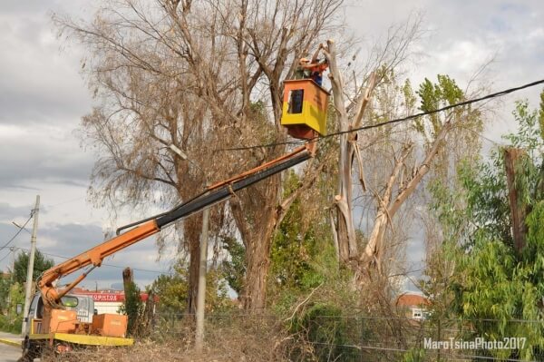 Δήμος Νέας Προποντίδας: Κοπή, κλάδεμα υψίκορμων δέντρων και καθαρισμός ρεμάτων
