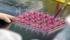 Ελπιδοφόρες οι εφαρμογές βλαστοκυττάρων και η γονιδιακή θεραπεία για τα άτομα με χαμηλή όραση