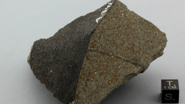 Διεθνής Ημέρα Αστεροειδών σήμερα - Έλληνας επιστήμονας αποκαλύπτει τα μυστικά ενός ιστορικού μετεωρίτη