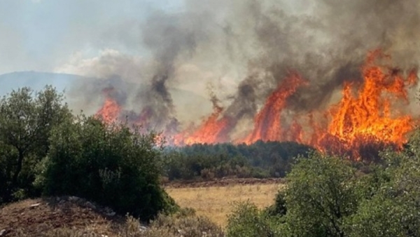 Χαλκιδική: Εναέρια μέσα επιχειρούν στη Μόλα Καλύβα