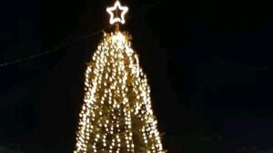 Στα 16 μέτρα το έλατο του Ταξιάρχη - Φωταγωγείται στις 7/11