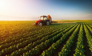 Πιστώνεται σήμερα το 70% της Βασικής Ενίσχυσης σε 540.000 αγρότες