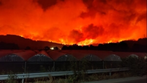 Πληθαίνουν τα μέτωπα στη βορειοκεντρική Εύβοια - Νέες εκκενώσεις χωριών
