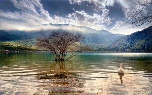 Οι άνθρωποι νιώθουν μεγαλύτερη συναισθηματική ικανοποίηση με τα τοπία παρά με τα πράγματα