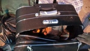 Μυτιλήνη: Μέσα στη βαλίτσα της προσπάθησε να μεταφέρει πρόσφυγας από την Συρία τον 23χρονο γιο της