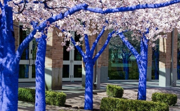 «Μπλε δέντρα» για «πράσινες» πόλεις