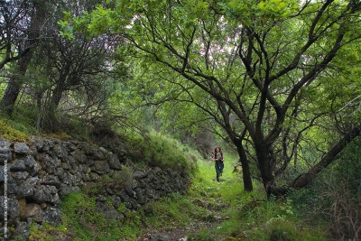 Ανάπτυξη του περιπατητικού τουρισμού στη Χαλκιδική