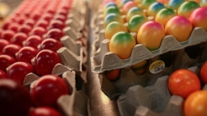 Συμβουλές του ΕΦΕΤ για την εορταστική περίοδο του Πάσχα - Τι να προσέχουν οι καταναλωτές