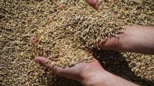 Κλιματική αλλαγή, πολεμικές συρράξεις και οικονομικές κρίσεις, οι κύριοι λόγοι για ευρεία επισιτιστική κρίση