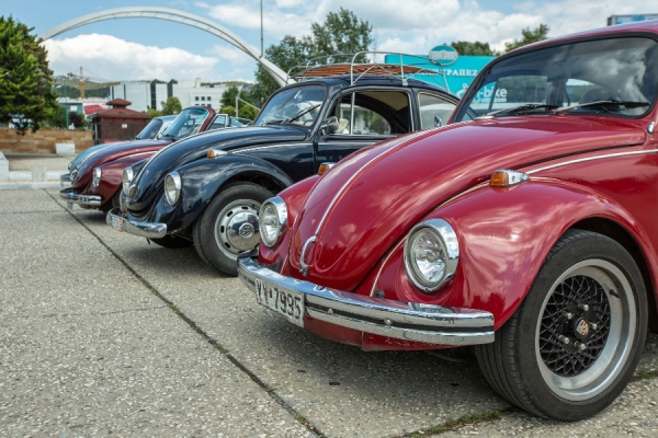 Κατσαριδάκι, αγάπη μου...