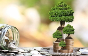 Ένταξη πρότασης του Δήμου Νέας Προποντίδας στο χρηματοδοτικό πρόγραμμα του Πράσινου Ταμείου «Προστασία και Αναβάθμιση Δασών 2024».