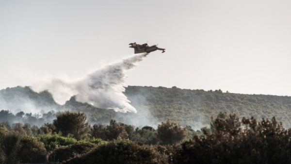 Μεγάλη φωτιά είναι σε εξέλιξη στην Εύβοια
