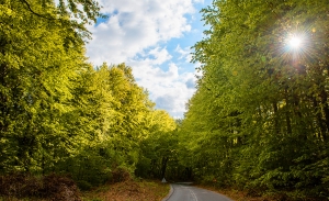 Βασική προϋπόθεση για την ανάπτυξη της "Πράσινης οικονομίας" οι ορυκτές πρώτες ύλες