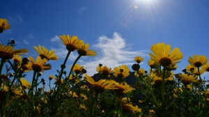 Στα ύψη ο υδράργυρος τις επόμενες ημέρες