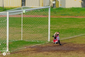 Αποτελέσματα της Α1 Ερασιτεχνικής Κατηγορίας Χαλκιδικής