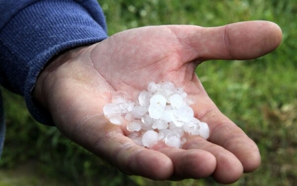 Αλεξανδρούπολη: Χαλαζόπτωση μετά τον καύσωνα στον βόρειο Έβρο - Καταστροφή σε καλλιέργειες