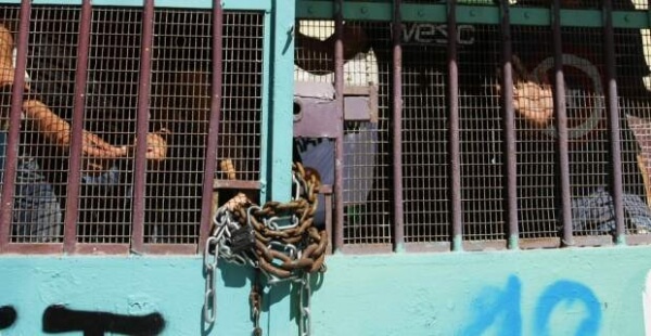 Λαμία: Προσαγωγές μαθητών για τις καταλήψεις