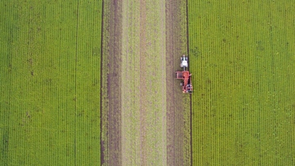 Ανοίγει η πλατφόρμα για το πρόγραμμα των «Νέων Γεωργών» προϋπολογισμού 420 εκατ. ευρώ