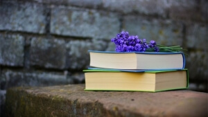 21η Μαρτίου, Παγκόσμια Ημέρα Ποίησης