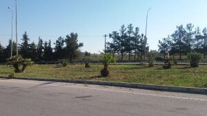 Καθαρισμός χόρτων στο επαρχιακό δίκτυο και στους κόμβους του Δήμου Νέας Προποντίδας