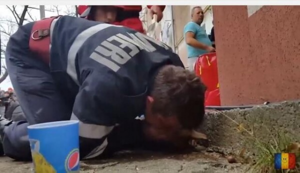 Ρουμανία: Ήρωας για την χώρα ένας πυροσβέστης που έσωσε έναν σκύλο δίνοντάς του... το φιλί της ζωής (Video)