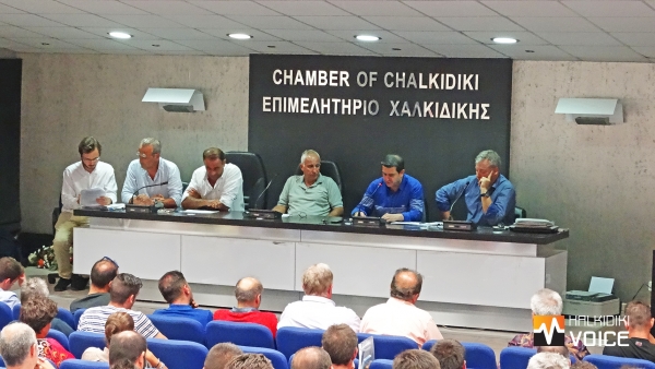 ΕΠΣ ΧΑΛΚΙΔΙΚΗΣ: Σύγκληση Έκτακτης Γενικής Συνέλευσης
