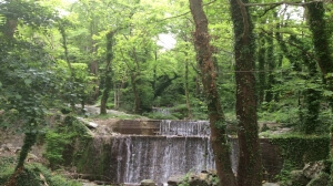 Ορίστηκε η διαδικασία διόρθωσης πρόδηλων σφαλμάτων στους δασικούς χάρτες