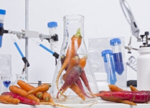 Επιστήμονες αποκωδικοποιήσαν πλήρως το DNA του καρότου