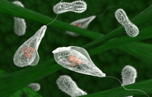 Έρχονται τα ρούχα που θα σκοτώνουν μόνα τους τα μικρόβια (με τη βοήθεια και του ήλιου)