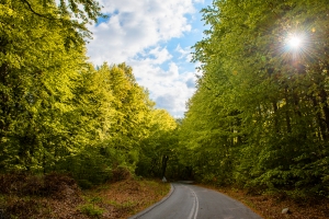 Το νέο επιχειρηματικό modus-operandi: “Επιστροφή στην ανάπτυξη με προστασία του περιβάλλοντος”